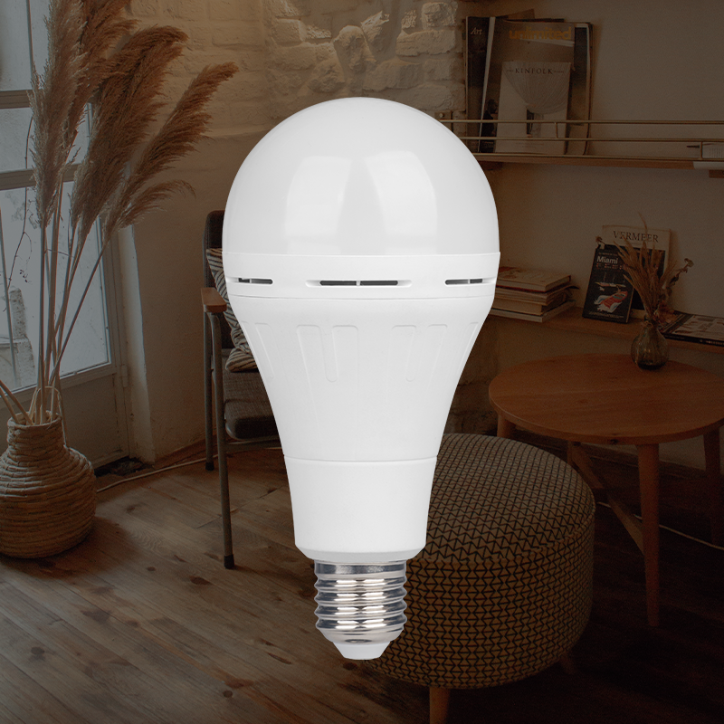 China Wholesale Dimmable Led Edison Bulbs Quotes Pricelist -  Emergency Lamp for Outdoor Camping and Household Use  – Red100