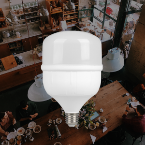 China Wholesale Led Shop Light Bulbs Factories Pricelist - Plastic with Aluminum Bulb for Shops and Store  – Red100