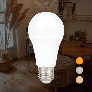China Wholesale Compact Led Bulb Factories Pricelist - On/Off Changeable LED Bulb in 3 Color Temperature   – Red100